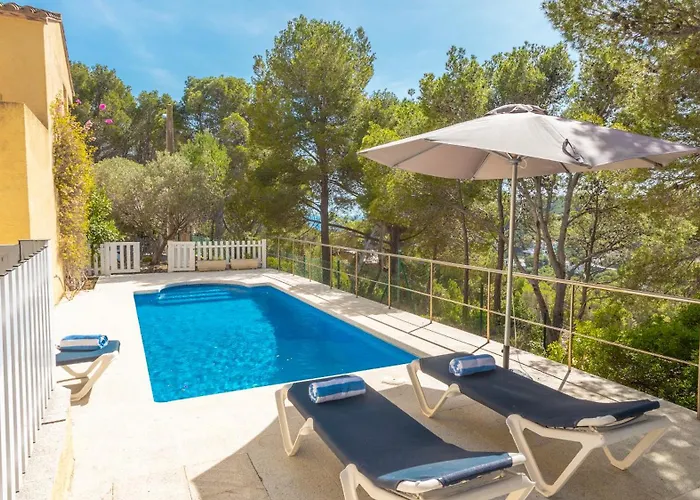 別荘 Neulos タマリウ